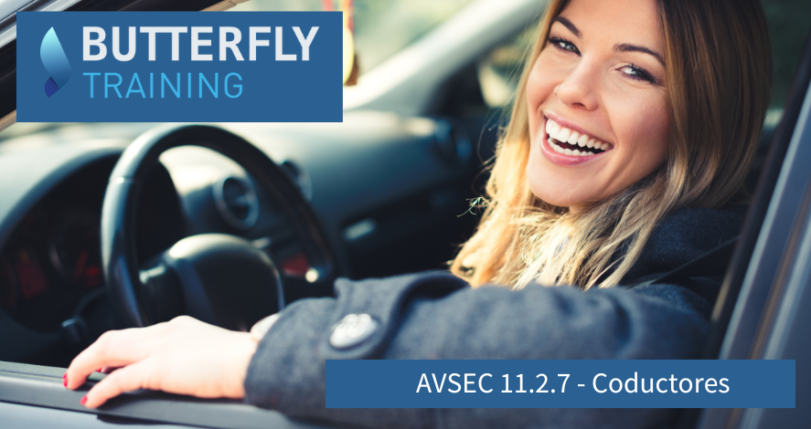 Curso AVSEC 11.2.7 online