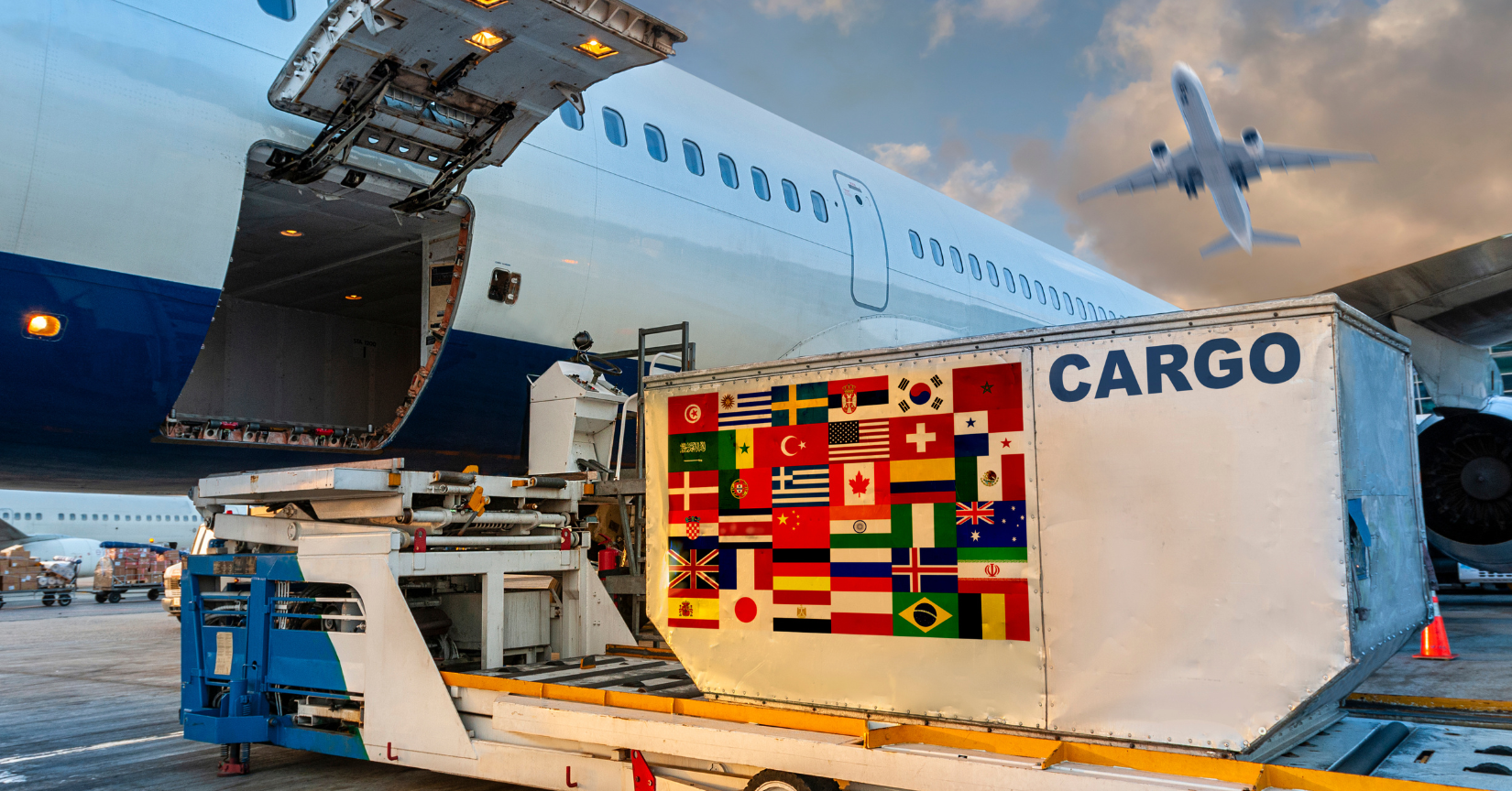 Carga de mercancías en un avión. DGR 7+8